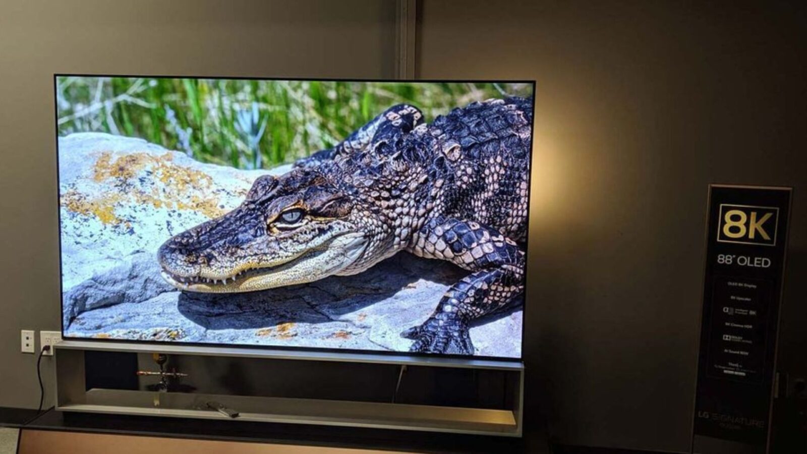 Tv oled com uma imagem de crocodilo